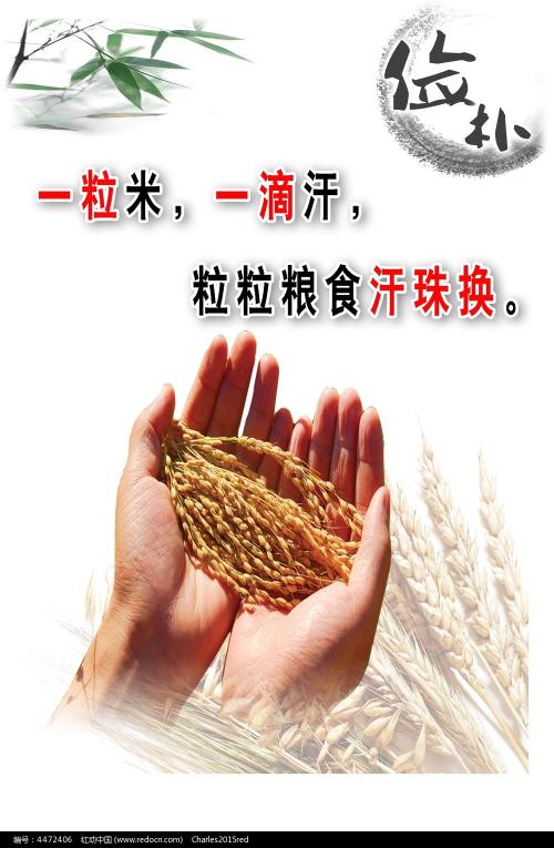 在职博士有没有学位证书